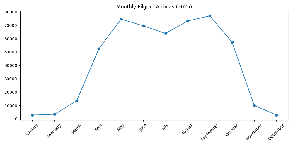 Line chart showing monthly pilgrim arrivals for 2025, with peaks in May and September and lows in January, February, and December